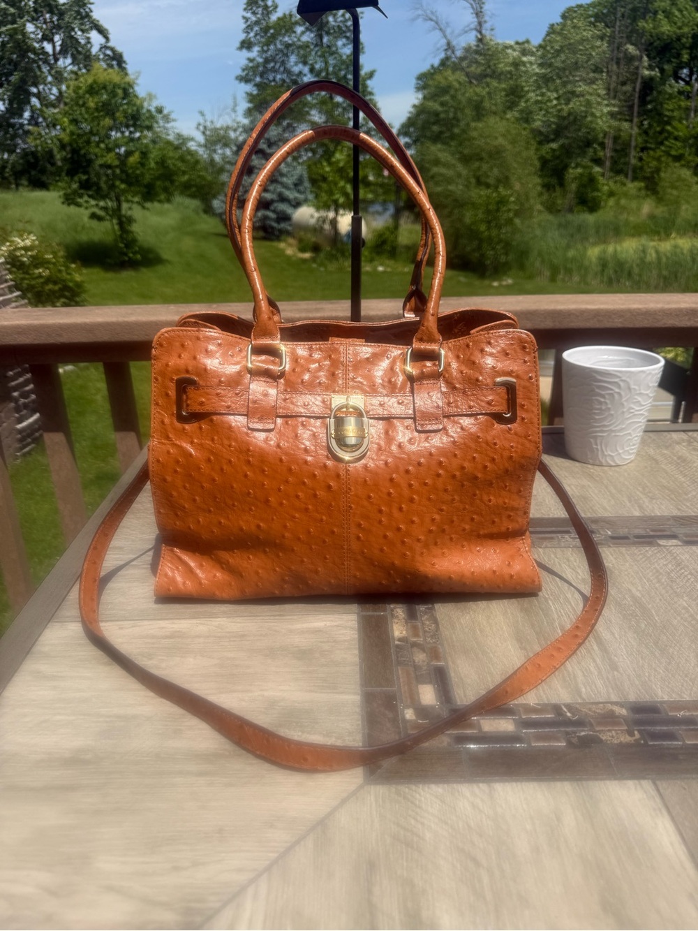 EUC Calvin Klein Tan Ostrich-Embossed Satchel with Shoulder Strap